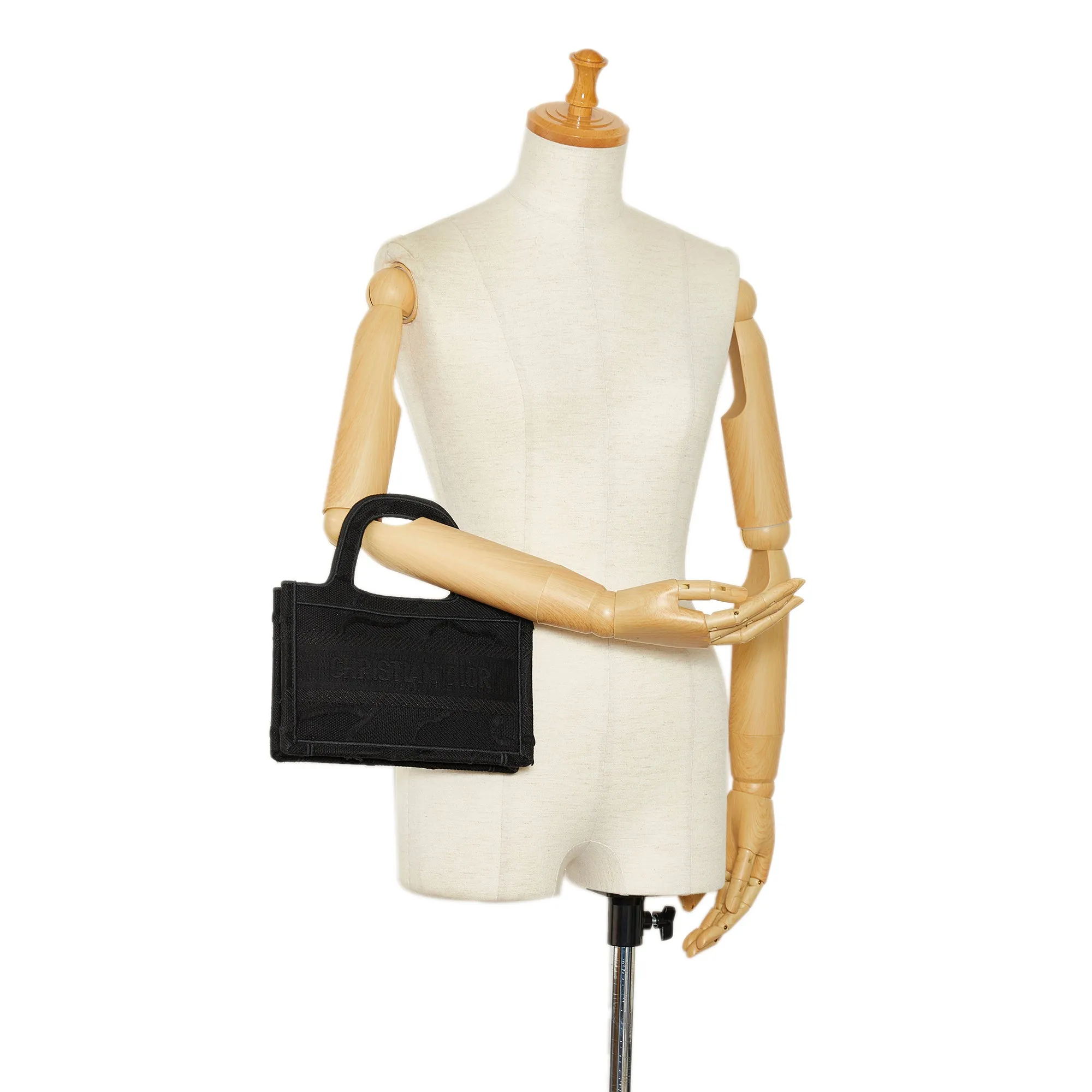 DIOR Mini Book Tote Tote Bag