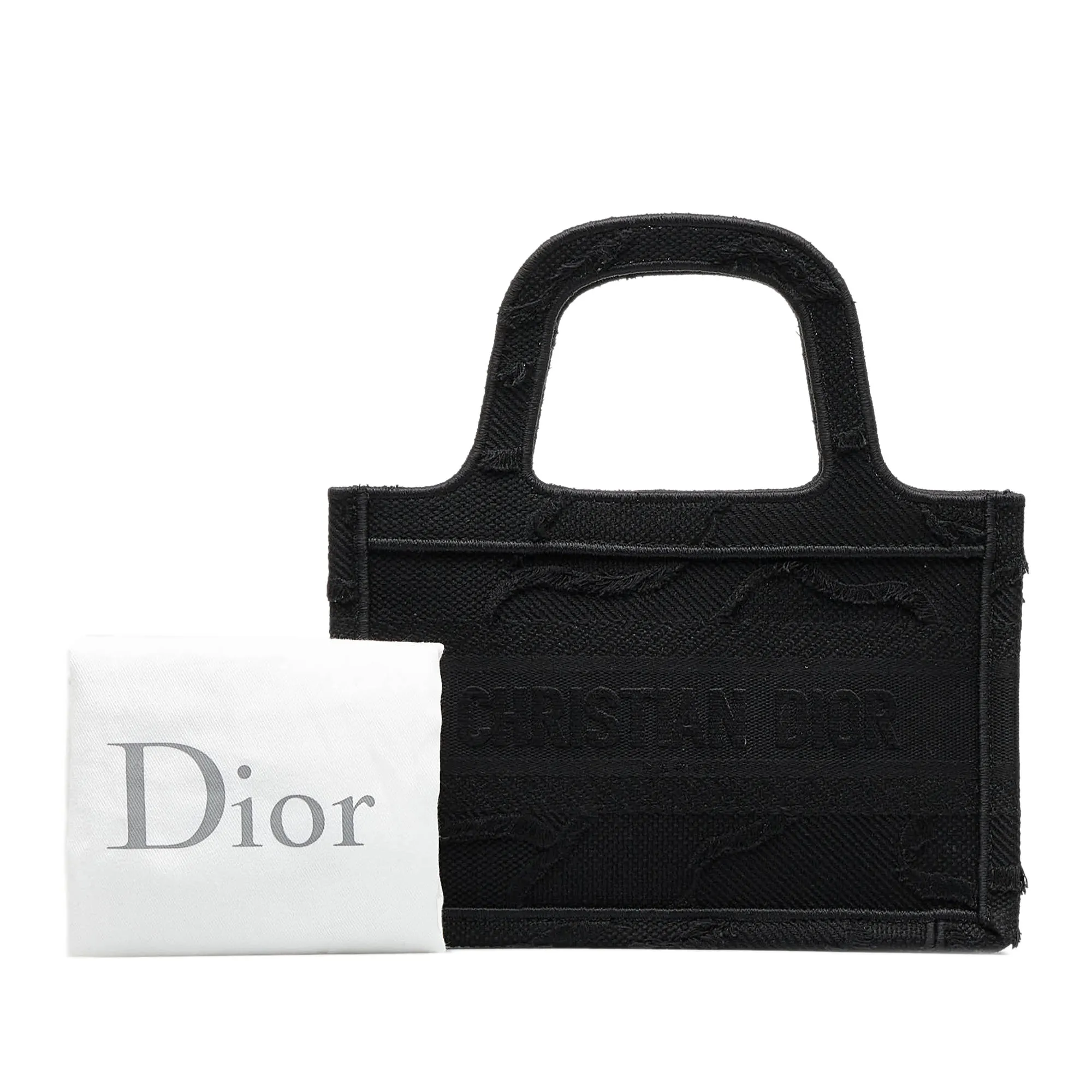 DIOR Mini Book Tote Tote Bag