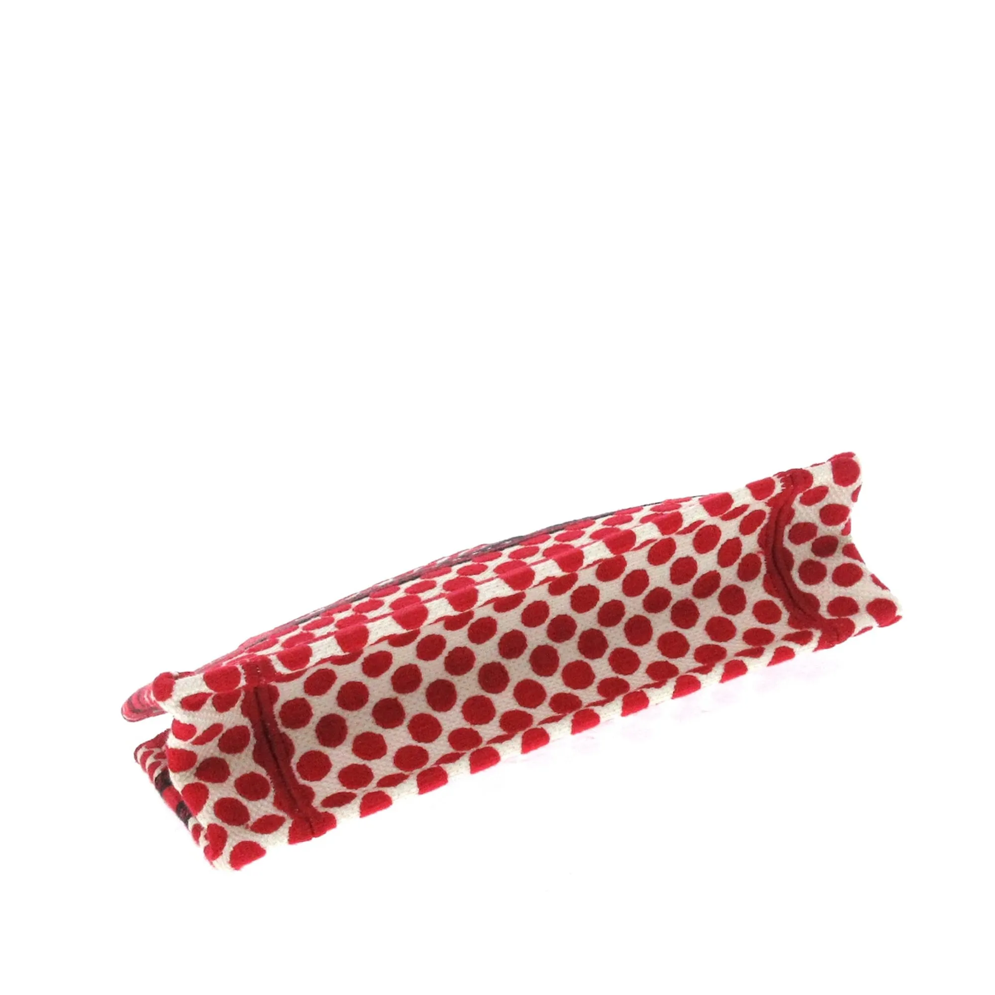 Red Dior Mini Dioramour Book Tote