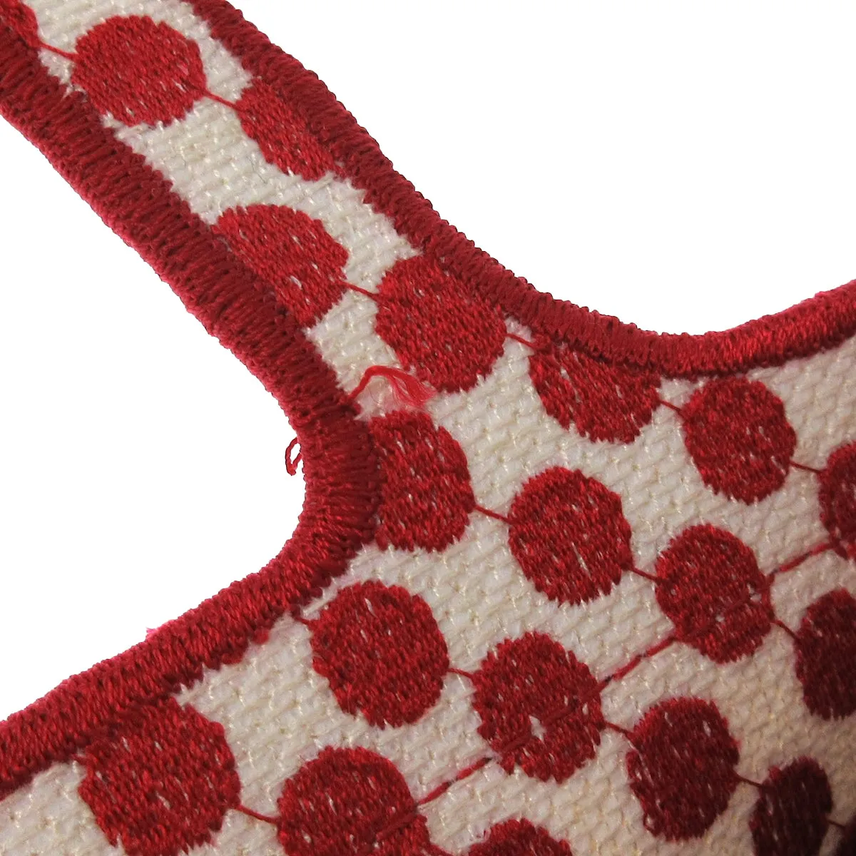 Red Dior Mini Dioramour Book Tote