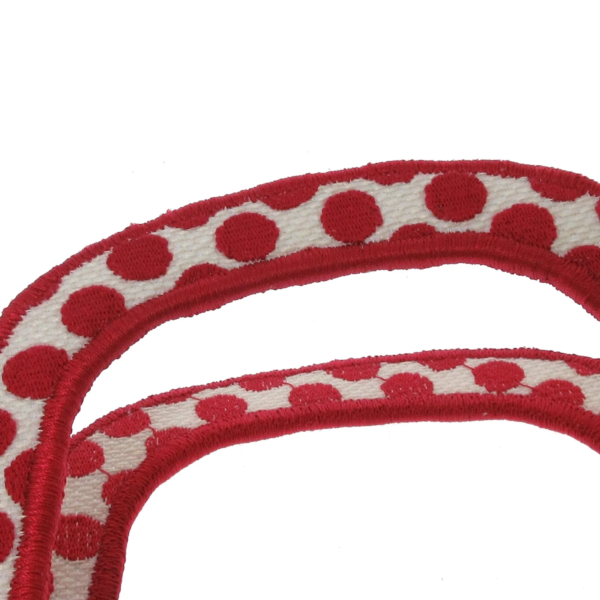 Red Dior Mini Dioramour Book Tote