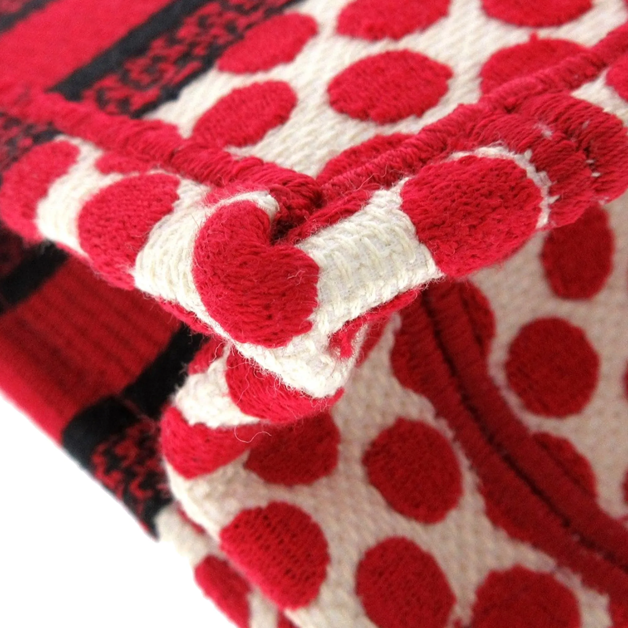 Red Dior Mini Dioramour Book Tote