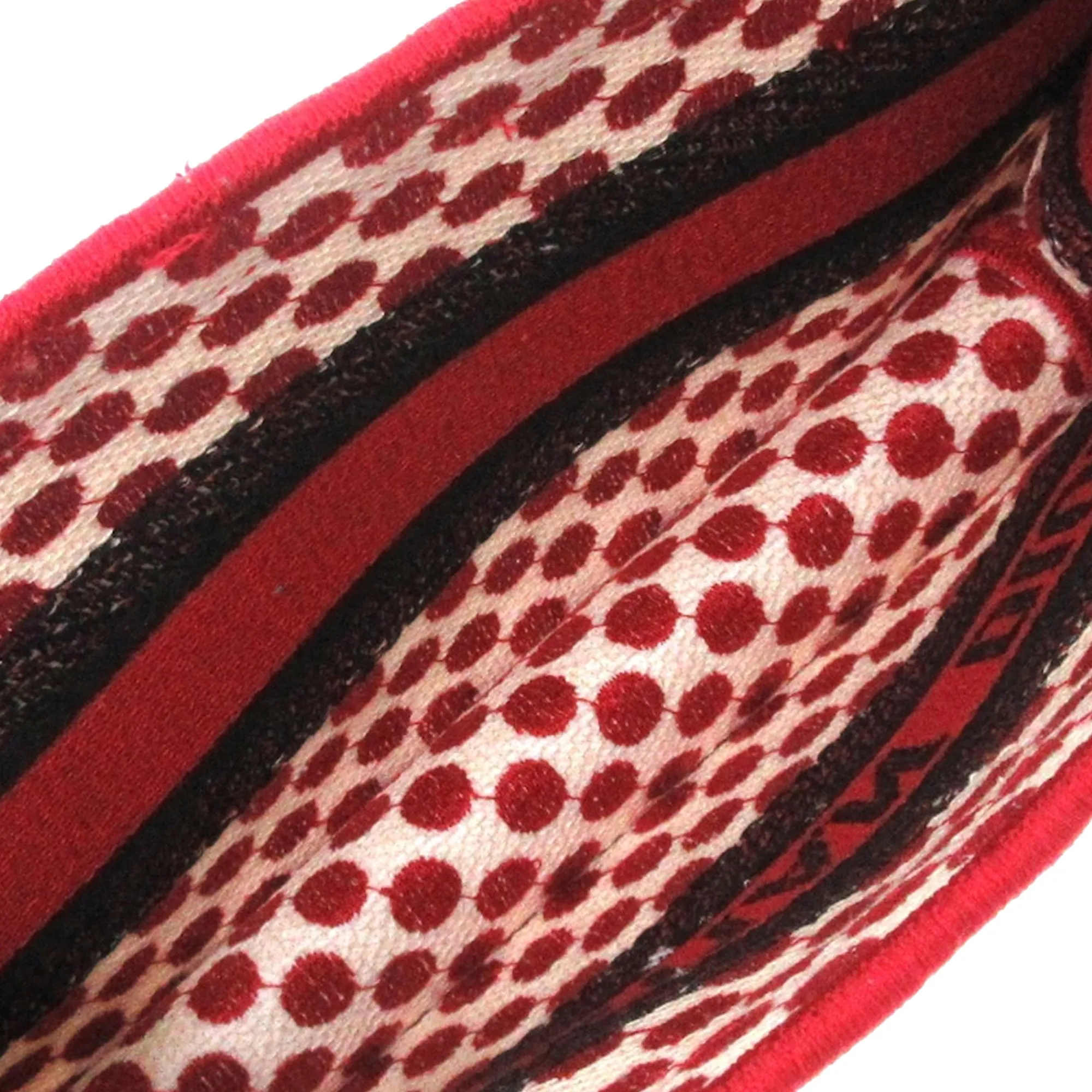 Red Dior Mini Dioramour Book Tote
