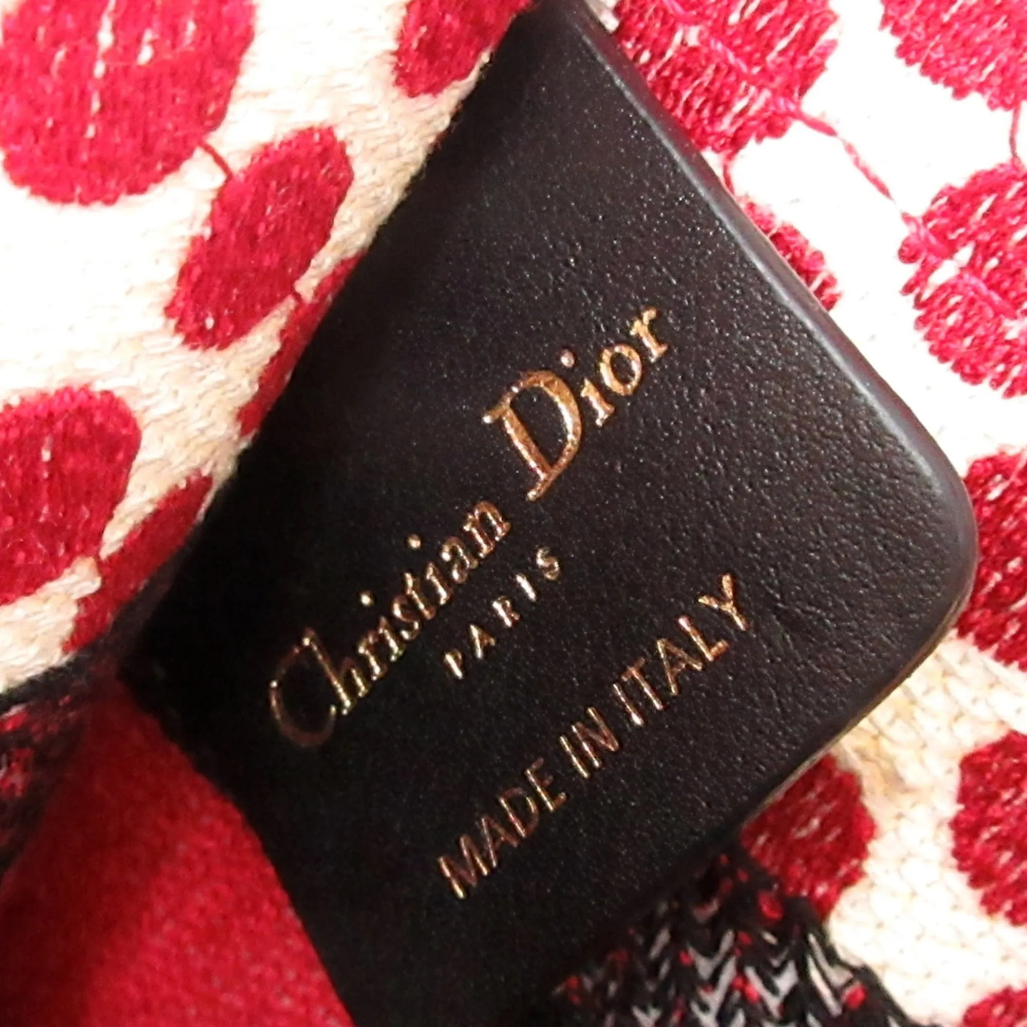 Red Dior Mini Dioramour Book Tote